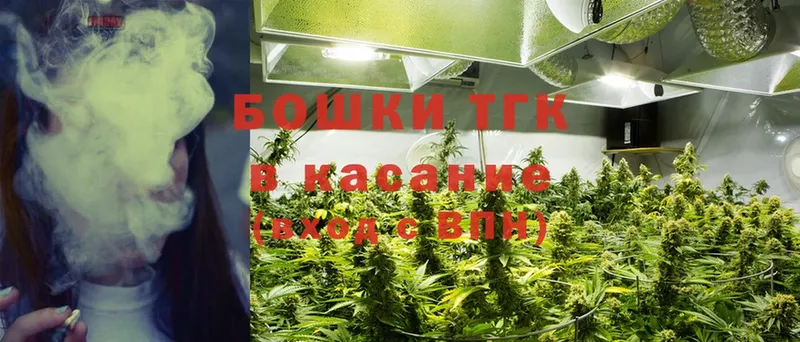 купить   Кириллов  Конопля план 